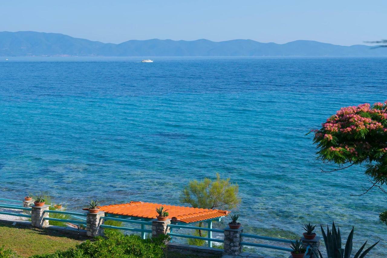 Kiparissi Villa Halkidiki 伊里斯斯 外观 照片
